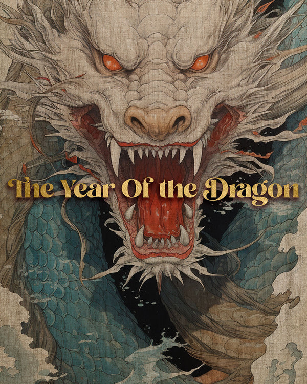 CAMISETA DETONADA - THE YEAR OF THE DRAGON IV Camiseta BeSucrè   