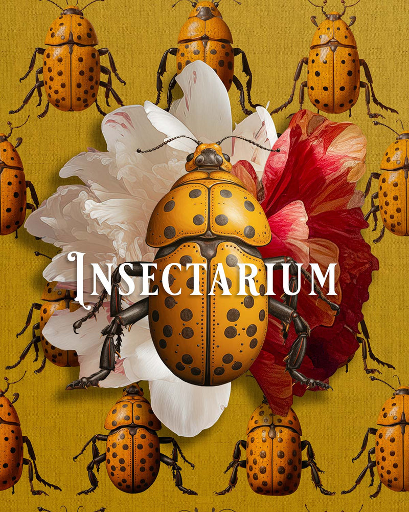 CAMISETA FEMININA SLIM FIT - INSECTARIUM Camiseta BeSucrè   